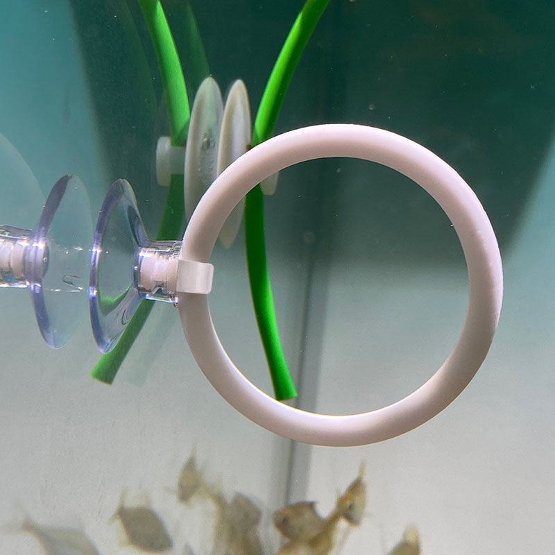 1pcs Plastic Fish Tank Aquariu - Gymnastic Ring 评论和价格